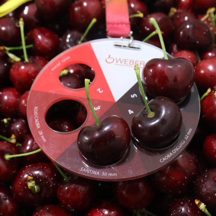 Cherries