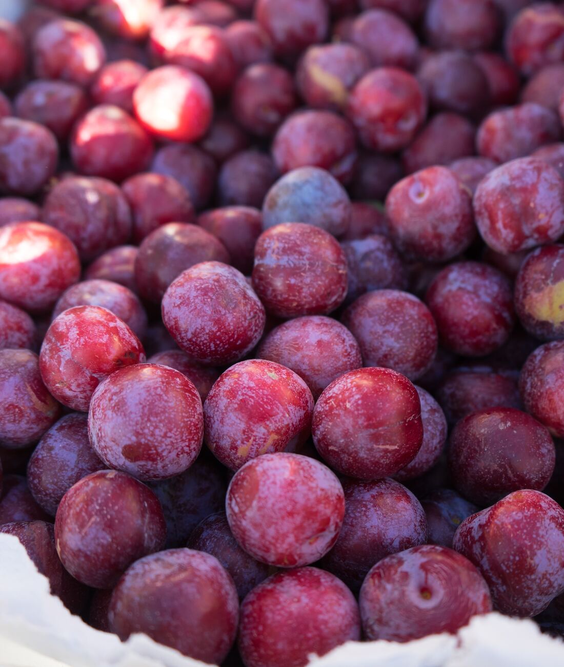 Plums